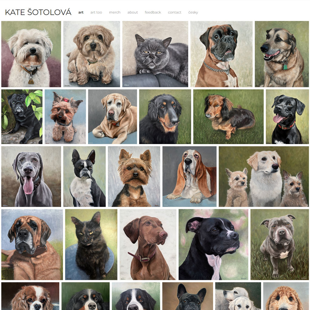 Web pro malířku Kate Šotolovou
